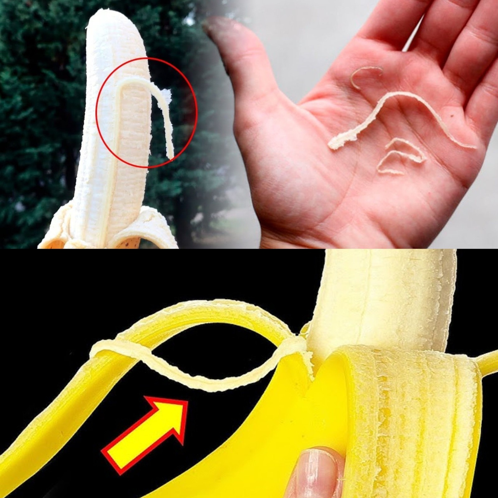 The Hidden Benefits of Banana Strings: Why You Shouldn’t Peel Them Away