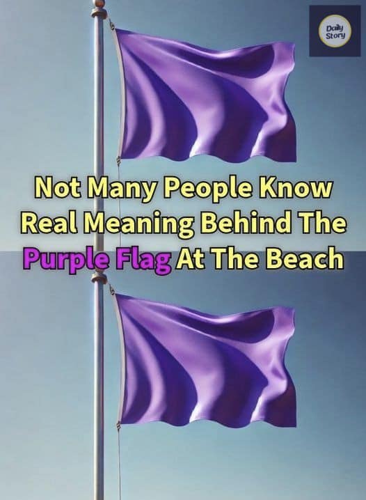 The lifeguards suddenly put up the purple flag and made us leave the beach. I had no idea what it meant