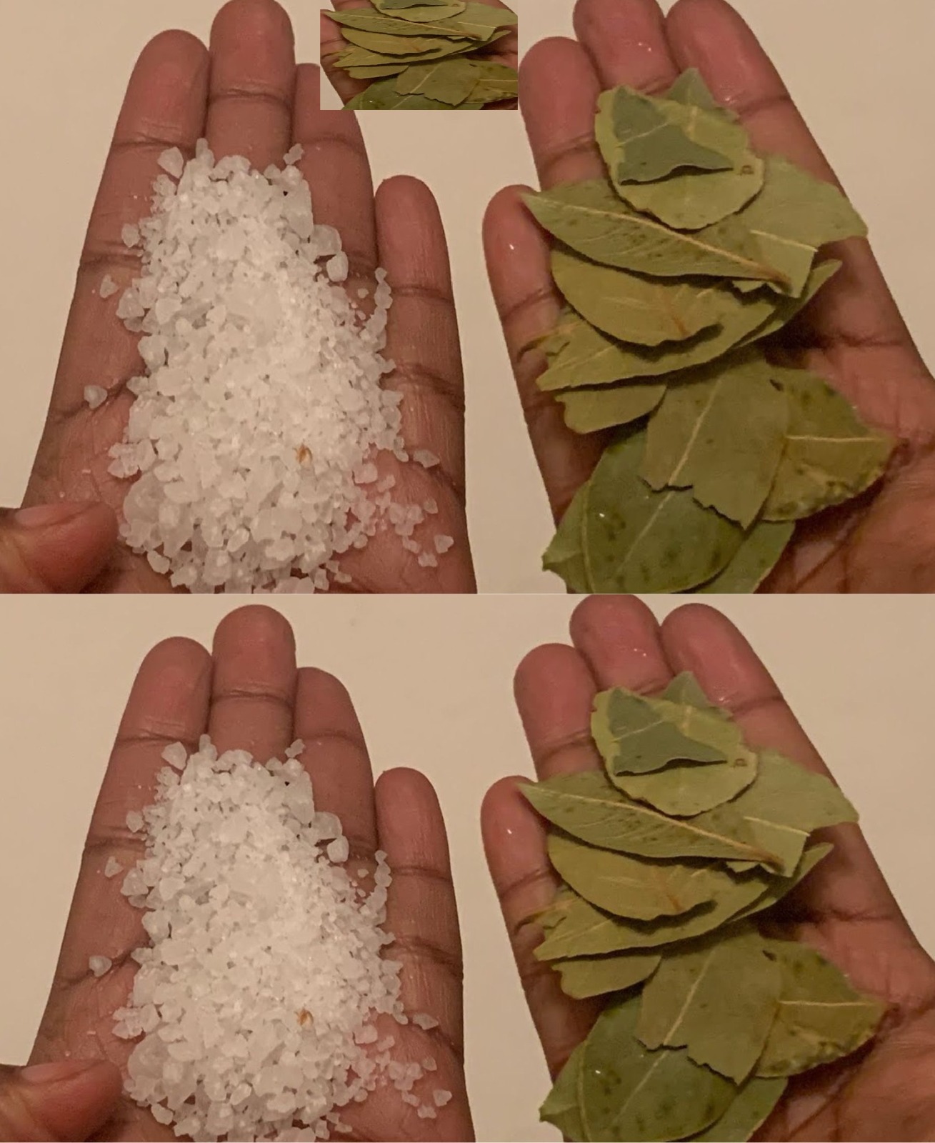 Bay Leaves and Salt: An Ancient Remedy Worth Its Weight in Gold