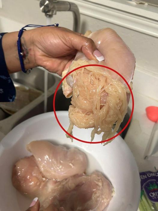 A Texas Mom Was Cooking Her Kids Dinner – After Cleaning Her Meat, She Was Shocked