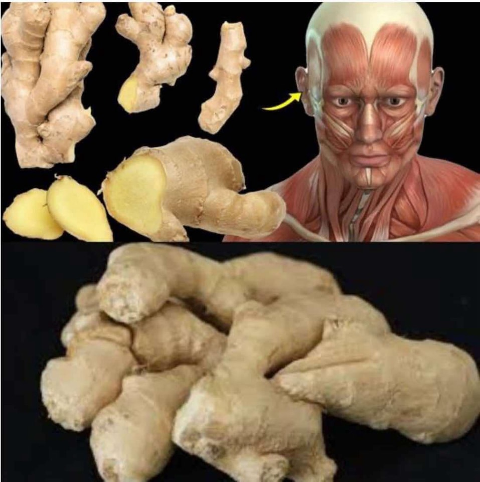 What Happens to Your Body with Daily Ginger