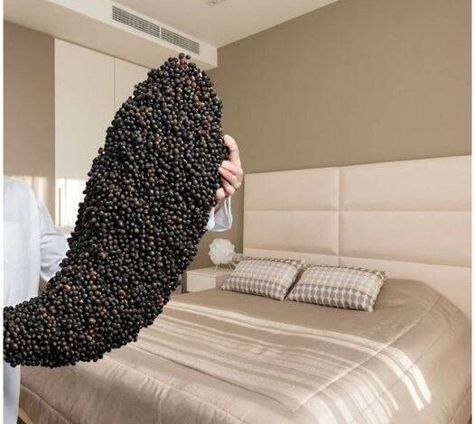 Black Pepper Under Your Bed: A Tradition Worth Exploring