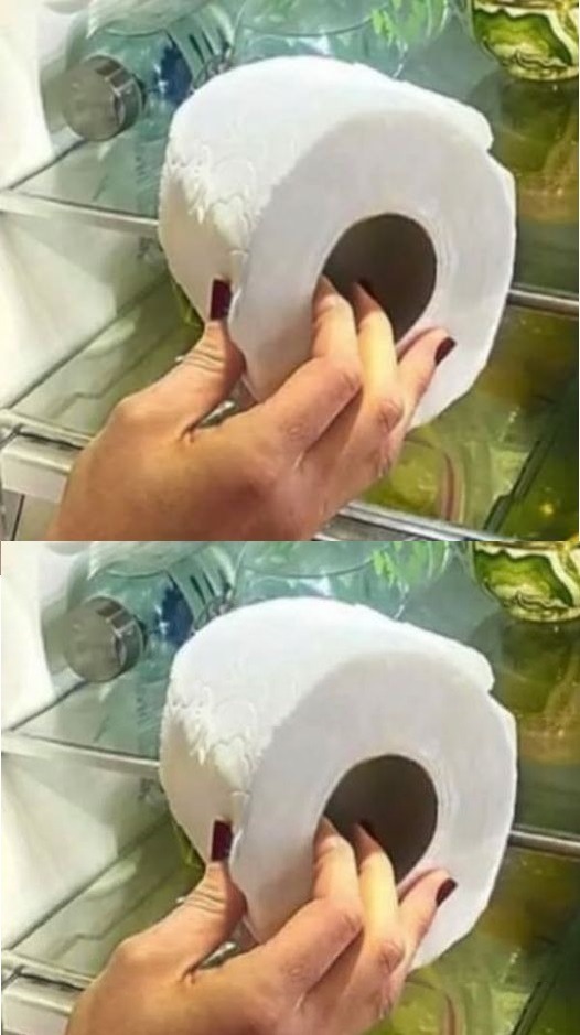 Why People Keep A Roll Of Toilet Paper In Their Fridge!!!