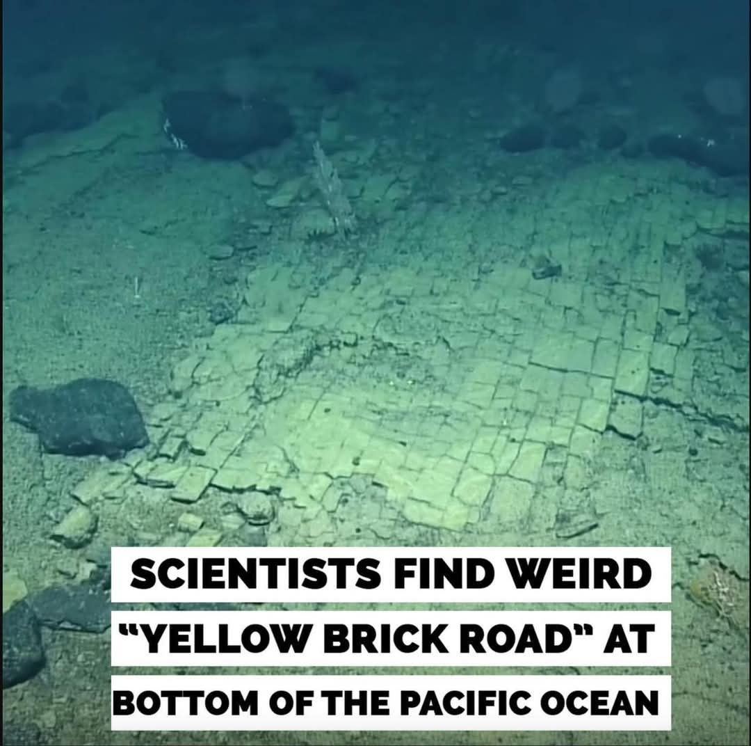 Scientists Uncover a “Yellow Brick Road” on the Pacific Ocean Floor