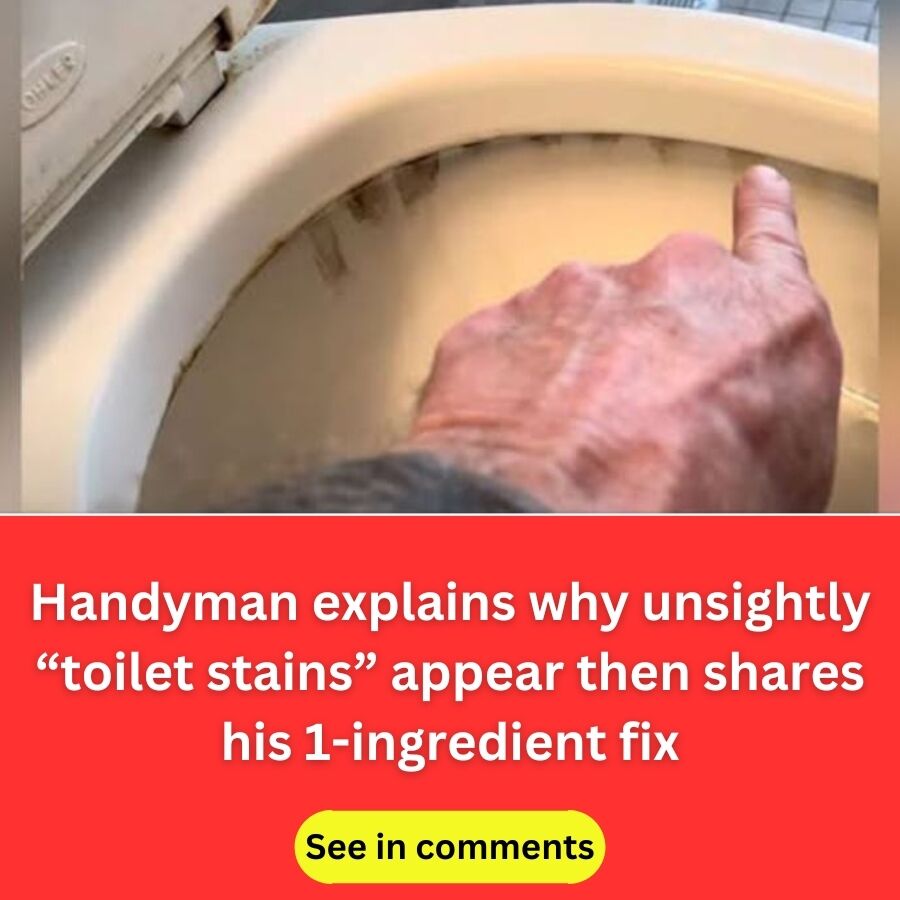 A Handyman’s Guide to Banishing Toilet Stains With a Single Ingredient