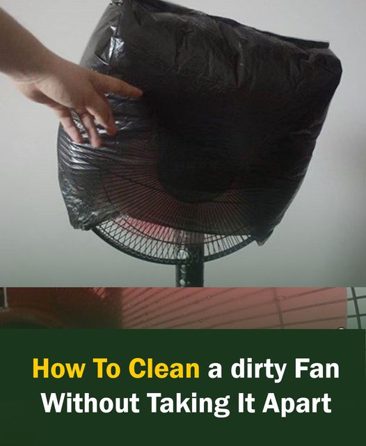 How to Clean a Fan Without Disassembly