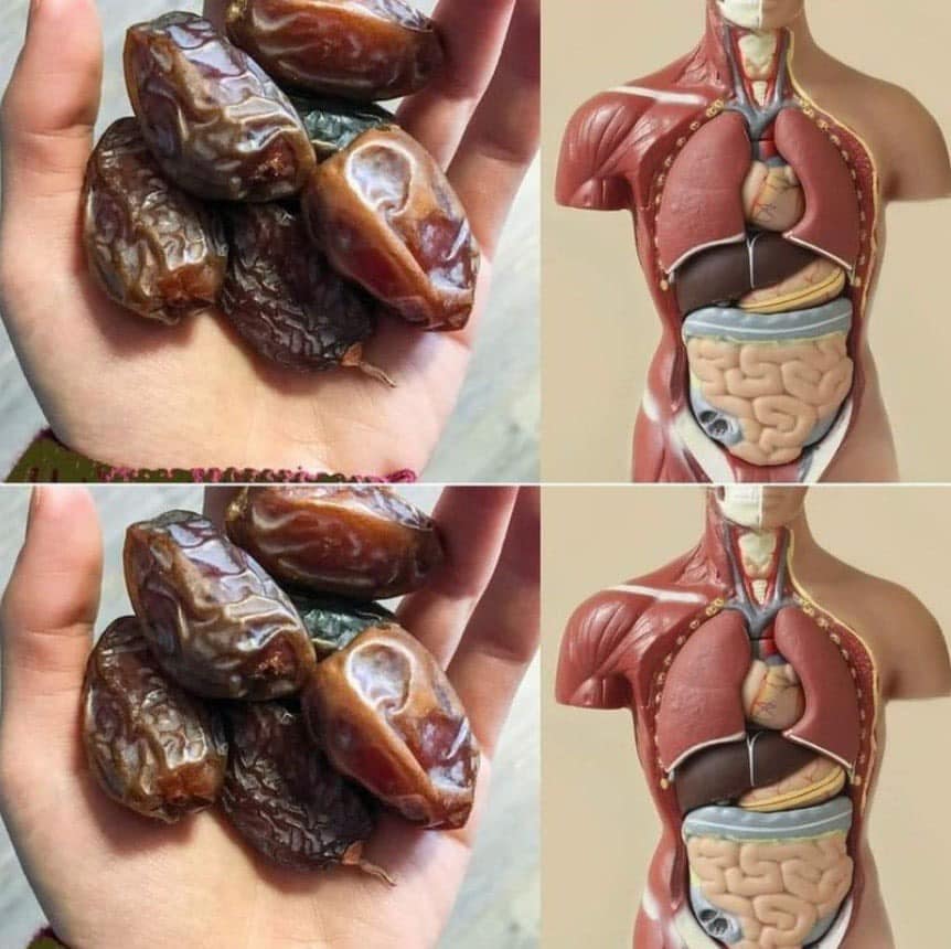 What will happen if you start eating 2 dates every day for a week. Check 1st comment 👇👇👇