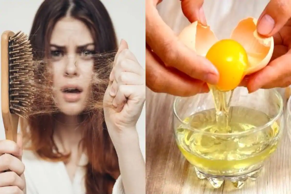 Egg yolk for fast hair growth:Very fast and effective. See how egg yolk can make your hair grow fast