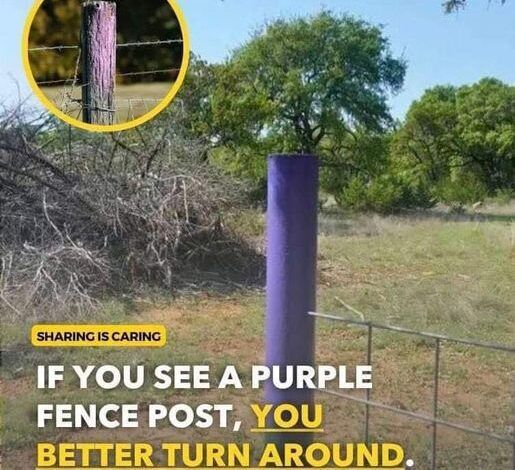 “If you spot a purple-painted fence, there’s a surprising reason behind it—and it’s more important than you might think! 😮 **Read more first link in the comment** 👇”