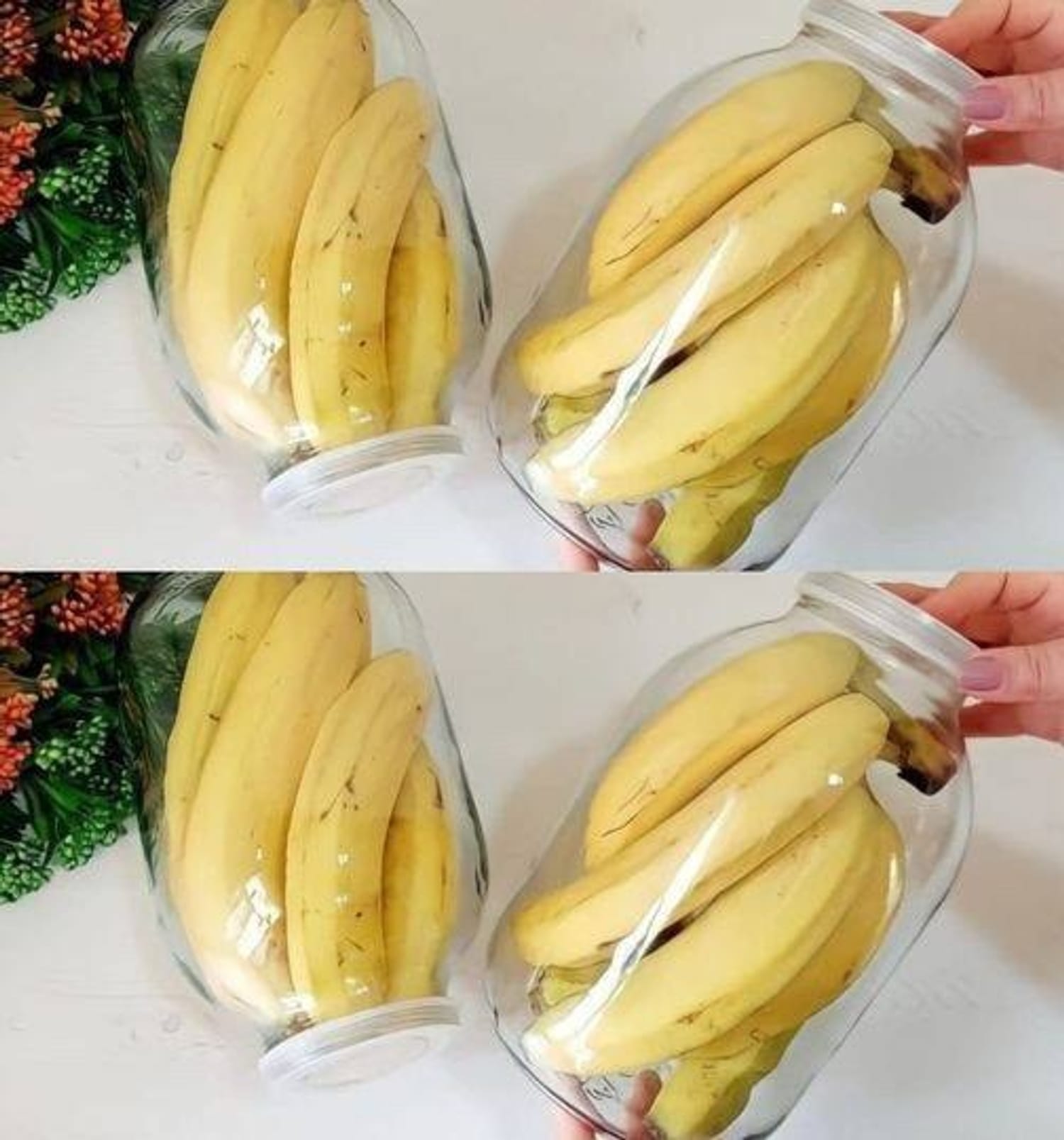 No more rotten and black bananas after a few days: with this method they will last 2 years 😲 👇